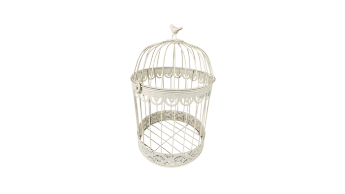 Location cage à oiseaux blanche pour les événements, décoration bohème et champêtre pour les événements, mariages, anniversaires